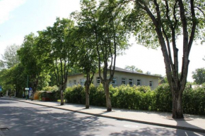 Palangos Kopa in Palanga